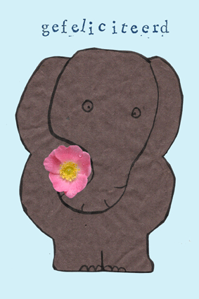 Kaart Olifant